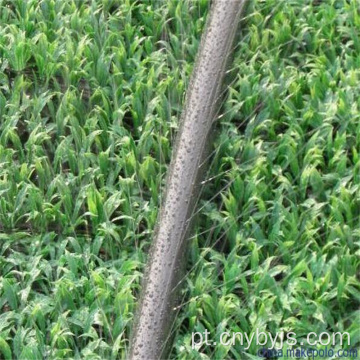 Micropulverização de mangueiras para cultivo de pomar irrigação de estufa
